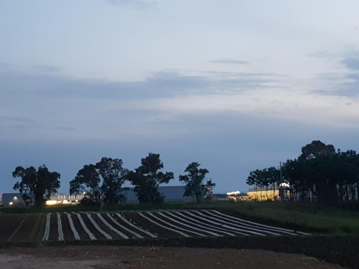 Agriturismo Il Casale Ponte Galeria Exteriér fotografie