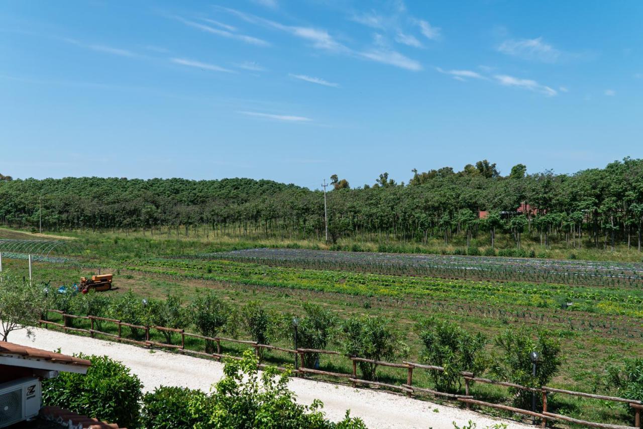 Agriturismo Il Casale Ponte Galeria Exteriér fotografie